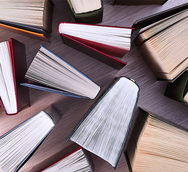 professional writer service